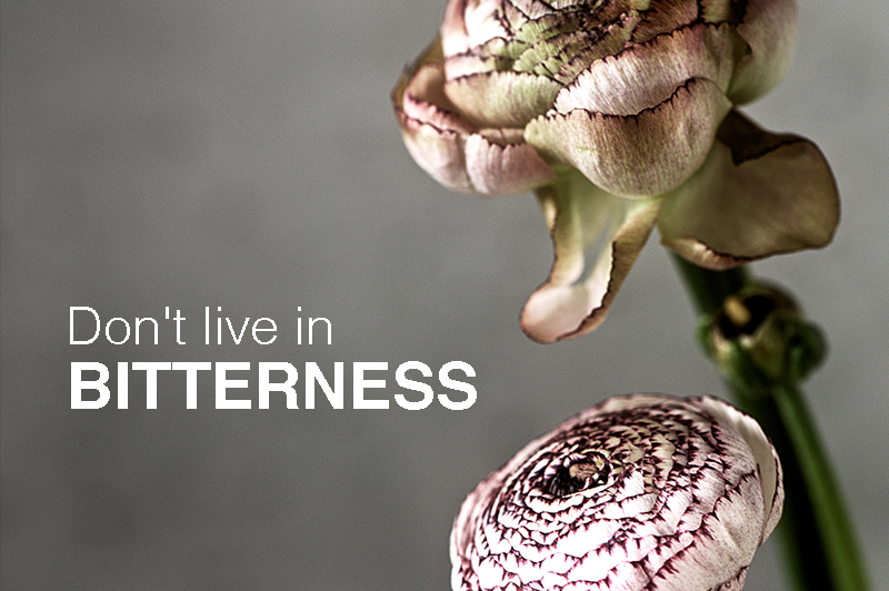 DLH-BlogAugust2017 (002)