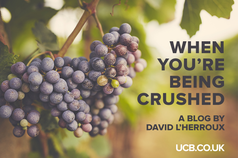 DLH-Blog-WhenYou'reBeingCrushed